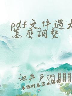 pdf文件过大怎么调整