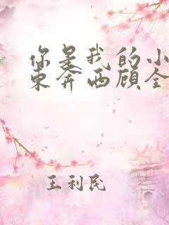 你是我的小确幸东奔西顾全文免费阅读