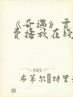 《奇遇》贾冰免费播放在线观看电影