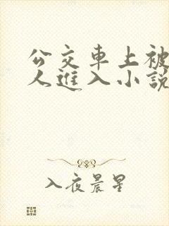 公交车上被陌生人进入小说