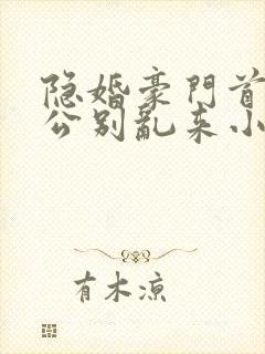 隐婚豪门首席老公别乱来小说