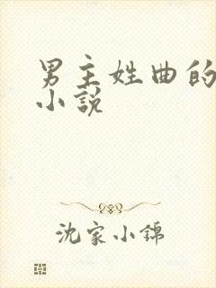 男主姓曲的总裁小说