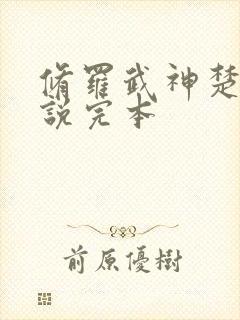 修罗武神楚枫小说完本