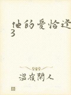 他的爱恰逢其时3