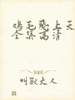 鸡毛飞上天免费全集高清