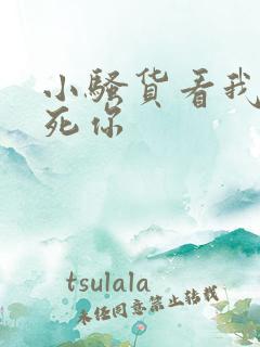 小骚货看我不插死你