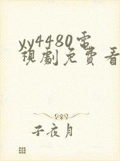 yy4480电视剧免费看