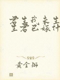 君生我未生,我生君已嫁什么意思