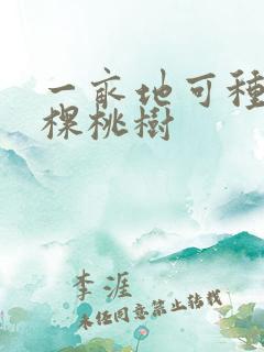一亩地可种多少棵桃树