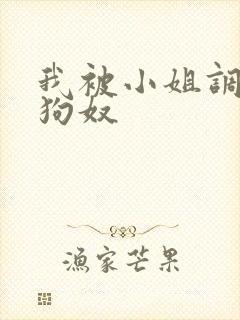 我被小姐调教成狗奴