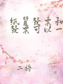 纸质发票和电子发票可以一起开吗
