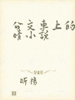 公交车上的诗请晴小说