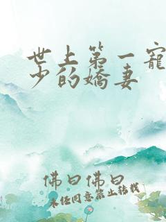 世上第一宠婚慕少的娇妻