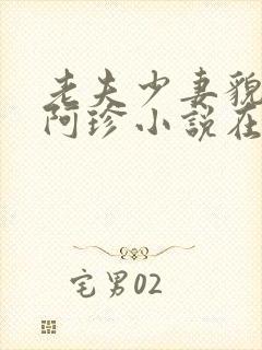 老夫少妻貌美的阿珍小说在线阅读