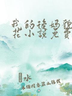 我的后妈貌美如花小说免费阅读全文无弹窗