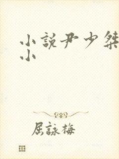 小说尹少桀慕小小
