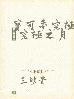 宝可梦究极之日·究极之月