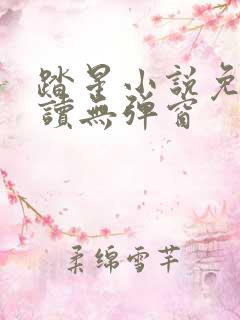 踏星小说免费阅读无弹窗