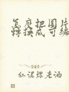 怎么把图片文字转换成可编辑
