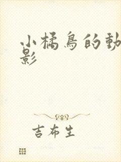 小橘鸟的动画电影