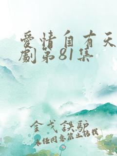爱情自有天意短剧第81集