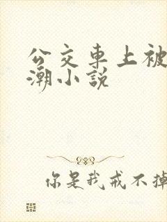 公交车上被蹭高潮小说