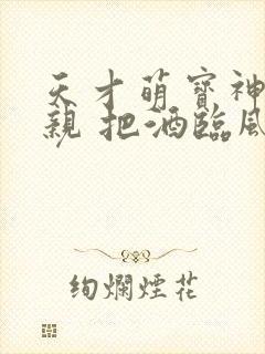 天才萌宝神医娘亲 把酒临风