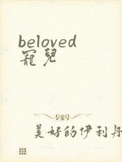 beloved宠儿