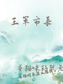 王军市长
