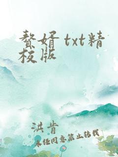 赘婿 txt精校版