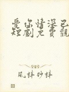 爱你情深已入骨短剧免费观看