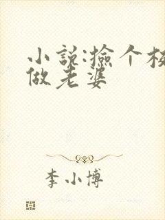 小说:捡个校花做老婆