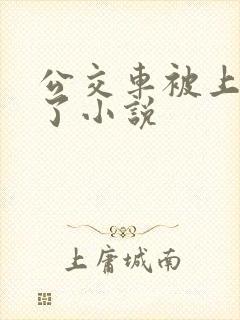 公交车被上高潮了小说