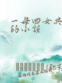一母四女共一婿的小说