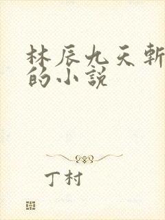 林辰九天斩神诀的小说