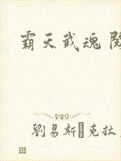 霸天武魂 阅读