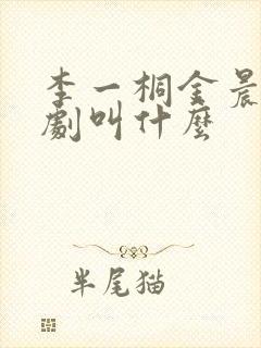 李一桐金晨演的剧叫什么