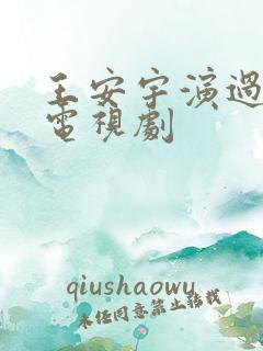 王安宇演过哪些电视剧