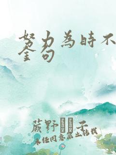努力为时不晚的金句