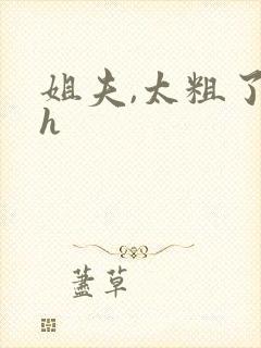 姐夫,太粗了高h