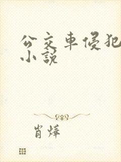 公交车侵犯系列小说