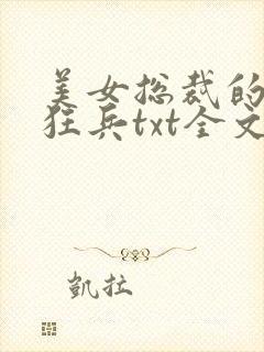 美女总裁的超级狂兵txt全文下载
