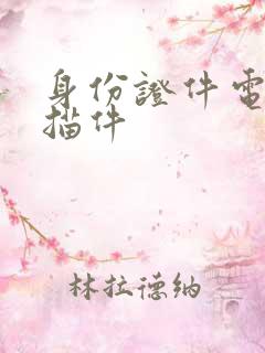 身份证件电子扫描件