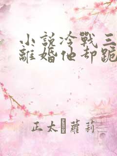 小说冷战三年提离婚他却跪下了
