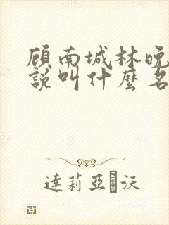 顾南城林晚意小说叫什么名字