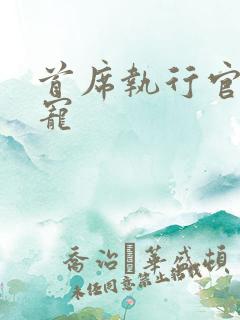 首席执行官的绝宠