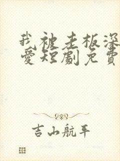 我被老板深深溺爱短剧免费全集