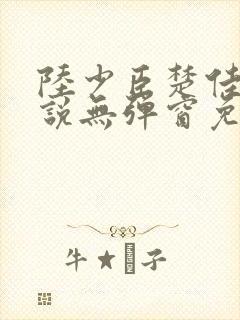 陆少臣楚佳人小说无弹窗免费阅读