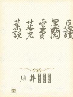 叶芷云墨辰渊小说免费阅读