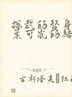 总裁的替身前妻叶可岚的结局